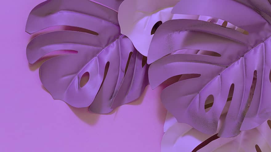 bio seaweed natural plastic