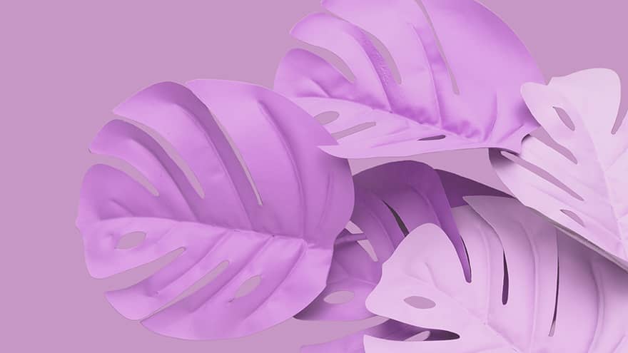 bio seaweed natural plastic