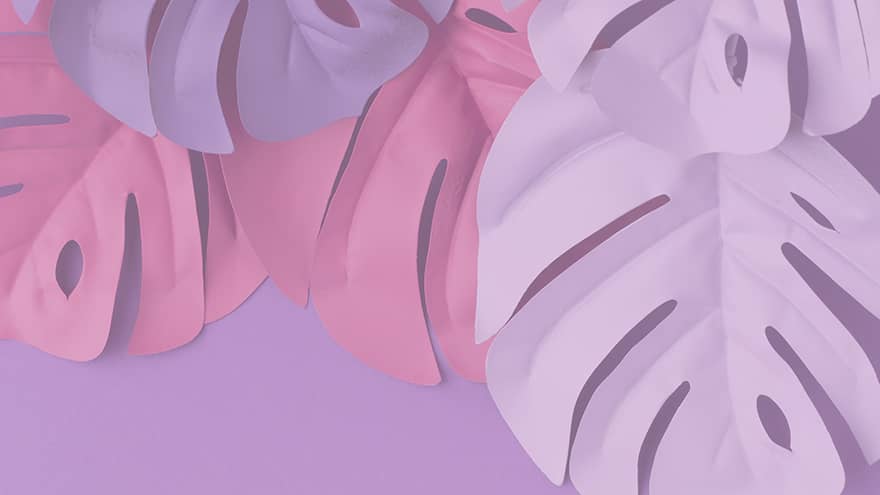 bio seaweed natural plastic